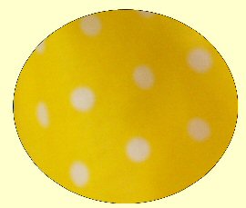 Available Outfit #212 fabric swatch